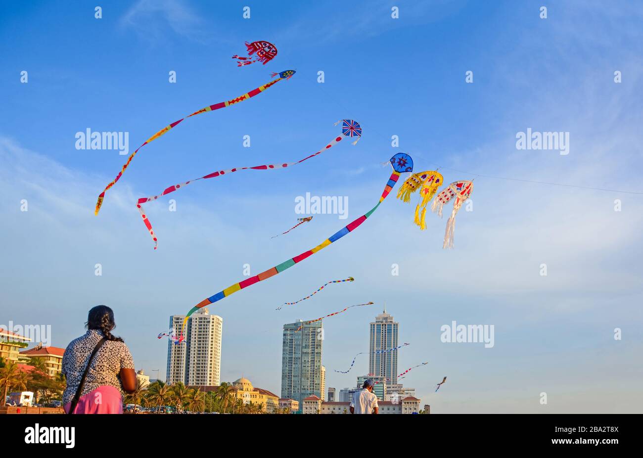 Kites Flying At Galle Face Green In Colombo, Sri Lanka Stock Photo