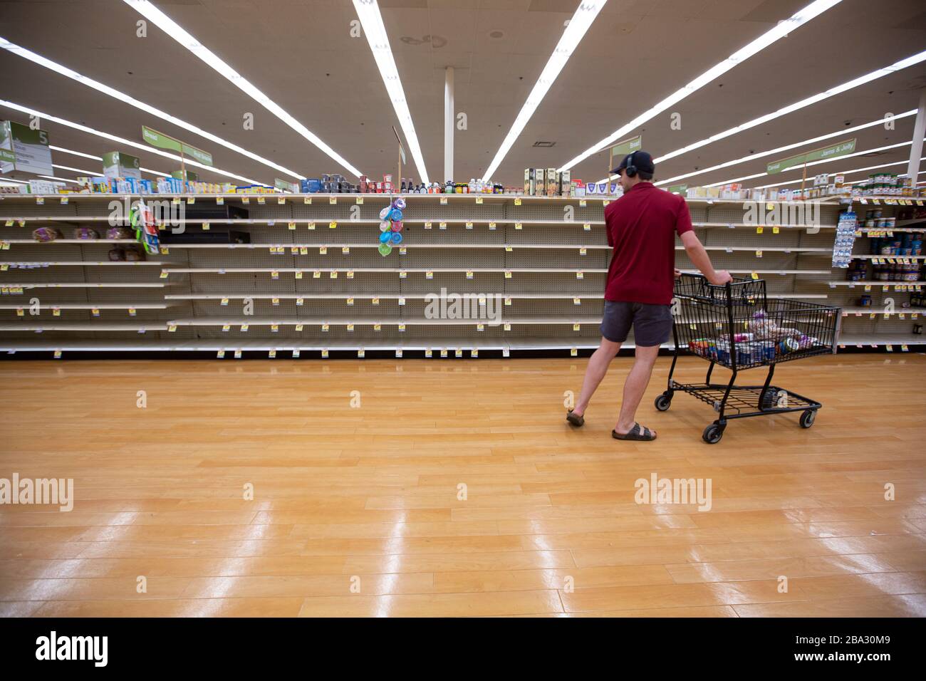 View of empty shelves due to hoarding and broken supply chains during