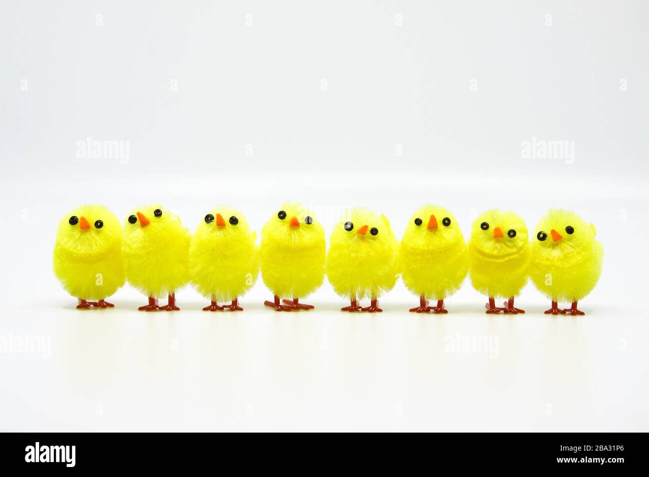 Cute little Easter chicks standing in a row Stock Photo