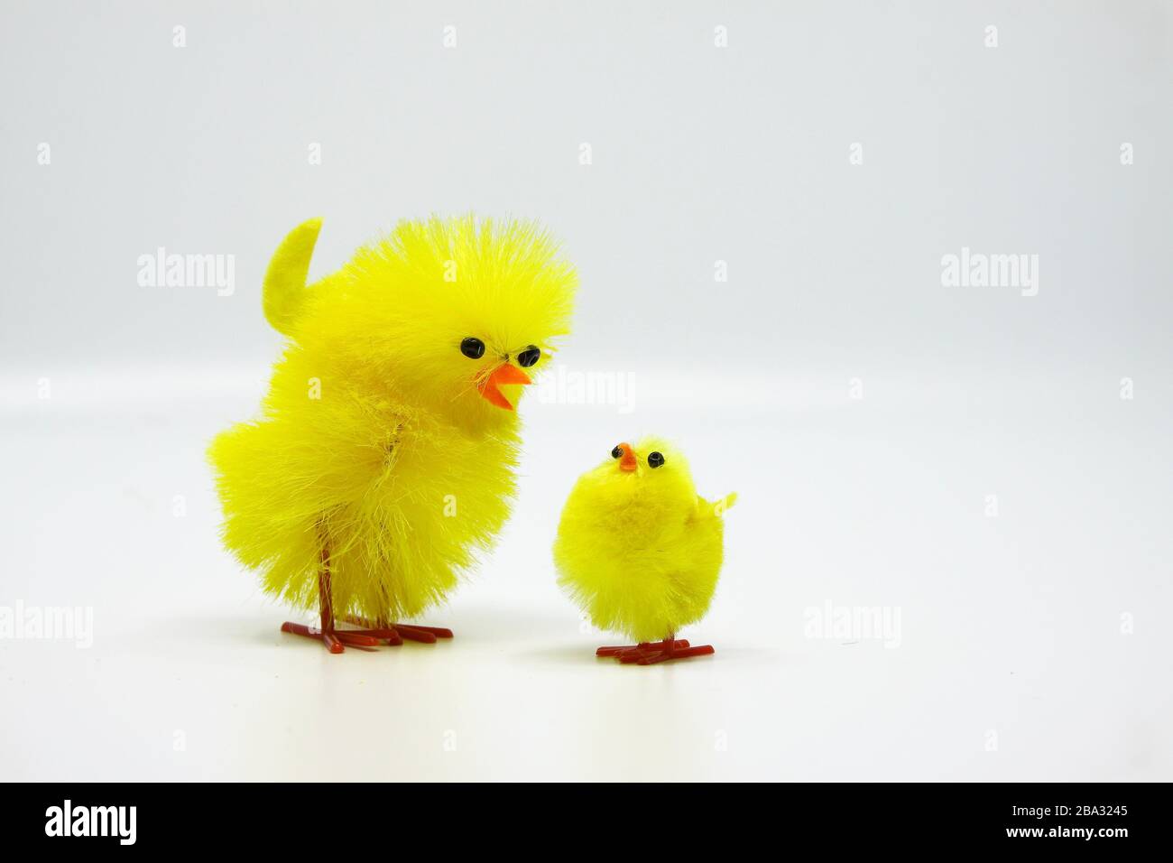 Cute little Easter chicks standing together Stock Photo