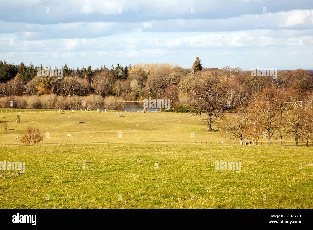 The grounds and parkland at National Trust owned Chirk Castle a stately