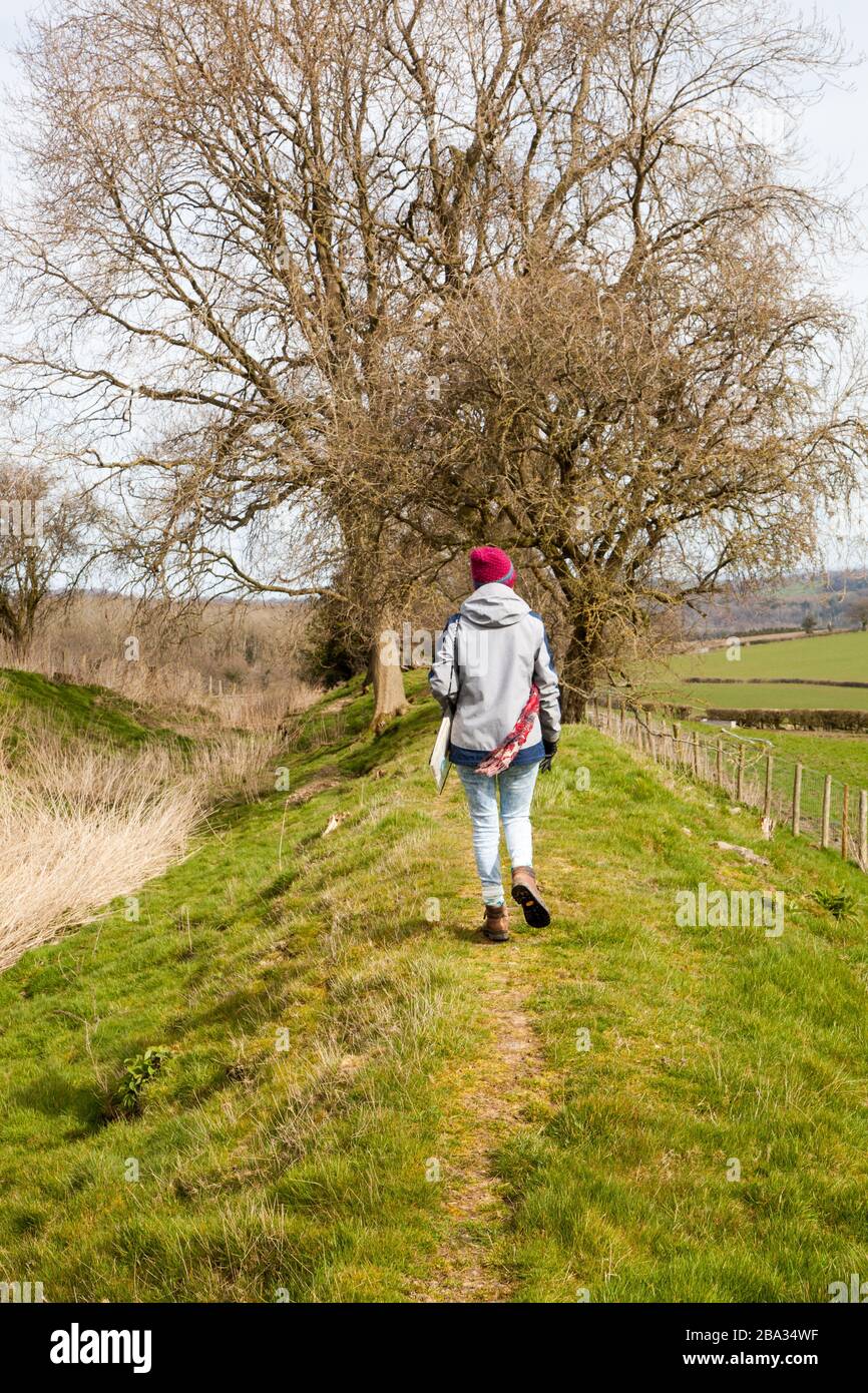 Woman walking along a privately owned section of Offas Dyke on private farmland not  forming part of the official long distance route at Chirk Wales Stock Photo