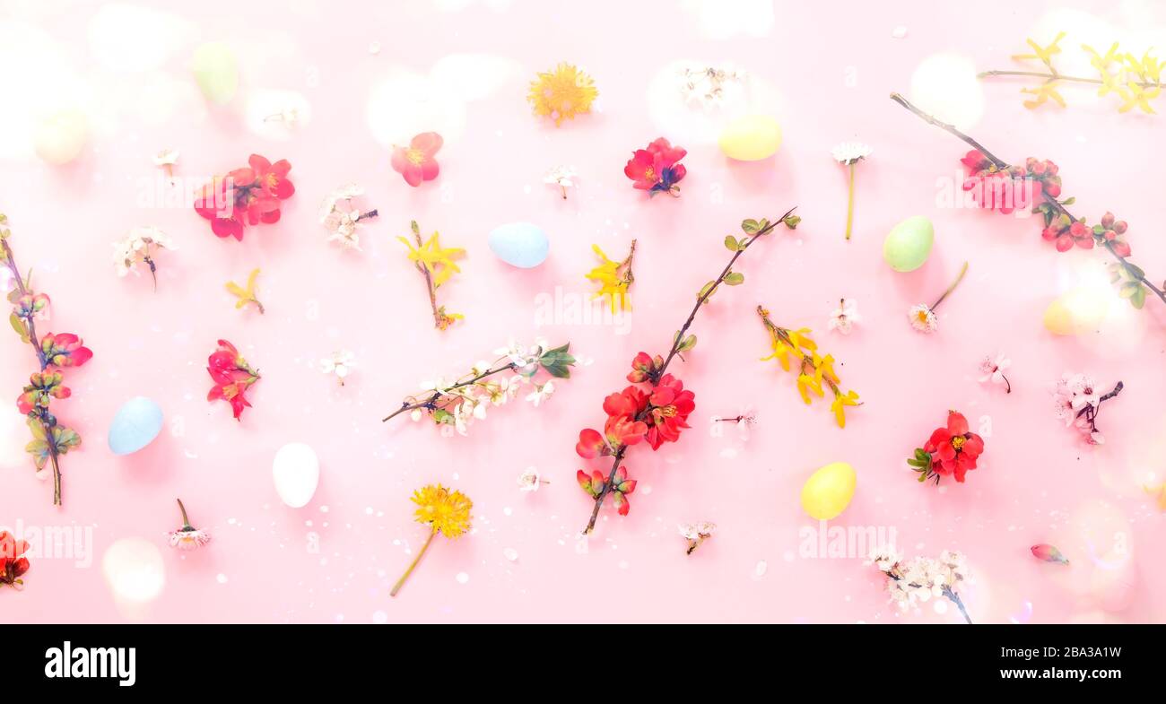 Easter eggs and spring flowers on pink background Stock Photo
