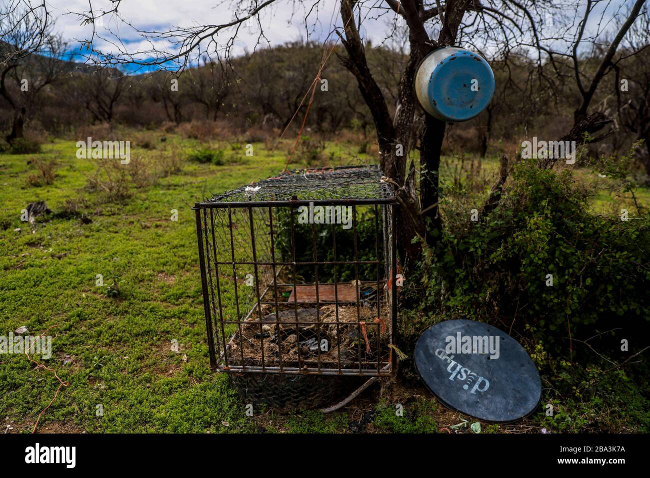 Illegal hunting jaguars hi-res stock photography and images - Alamy