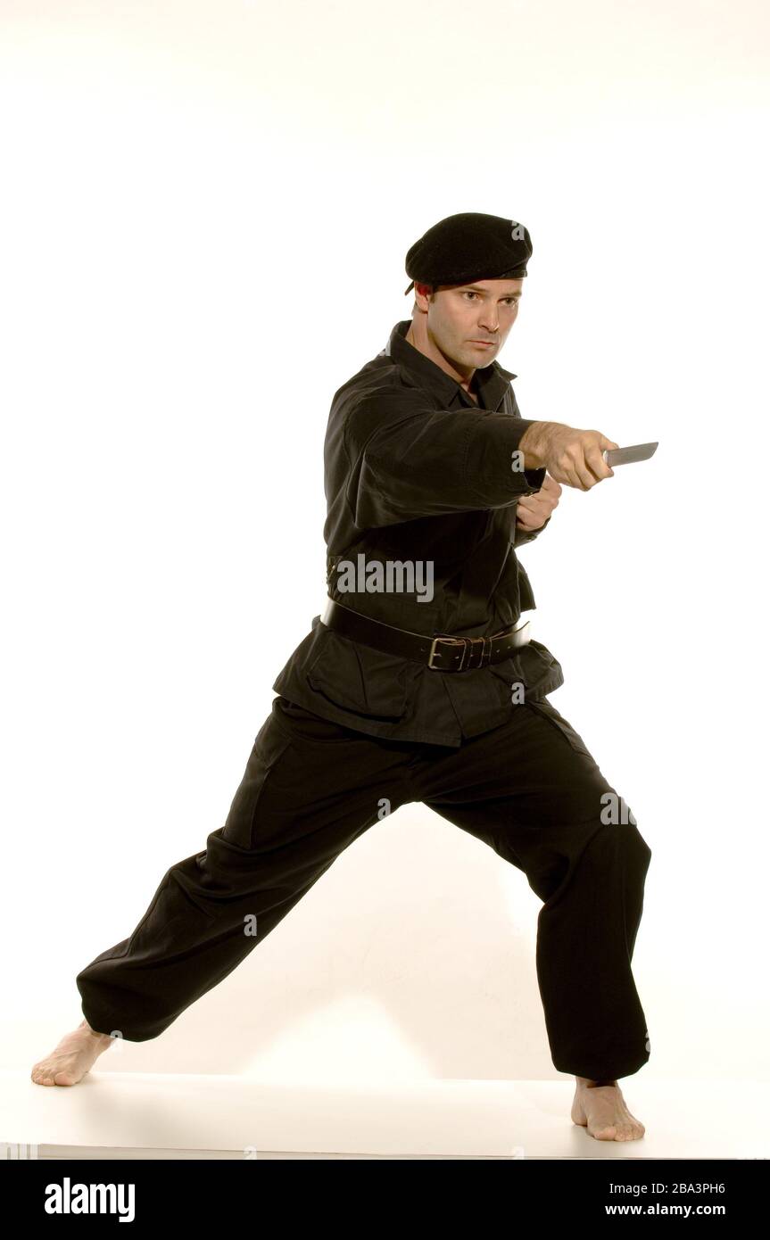 Kampfsportler, martial artist, MR: Yes Stock Photo