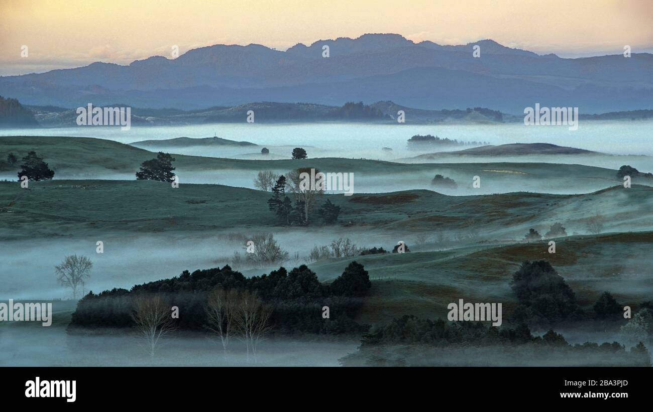 Neuseeland, Nordinsel, Landschaft im Nebel, Stock Photo