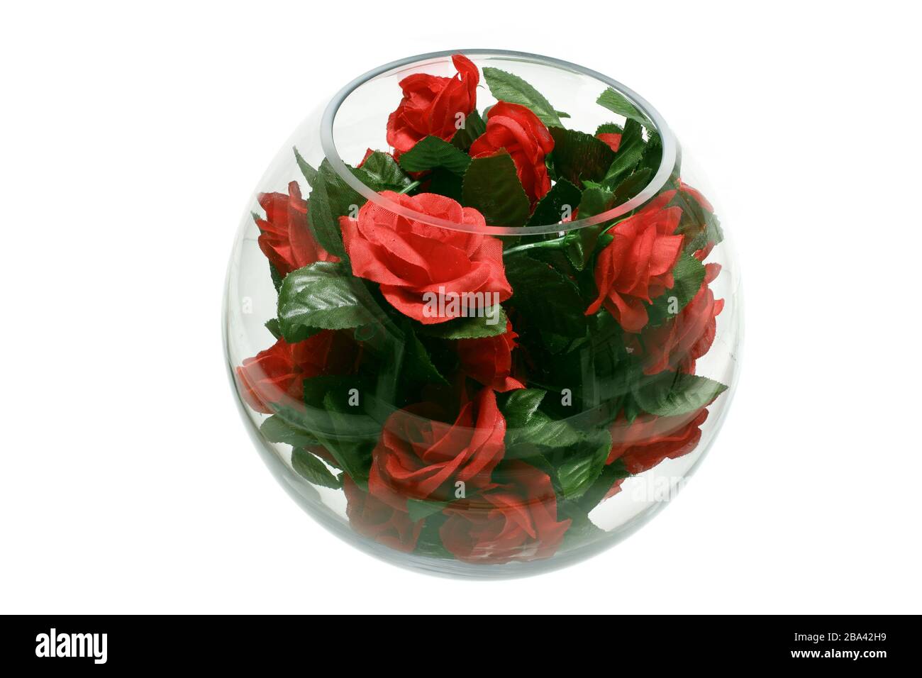 Red Roses in Glass Bowl on White Background Stock Photo Alamy