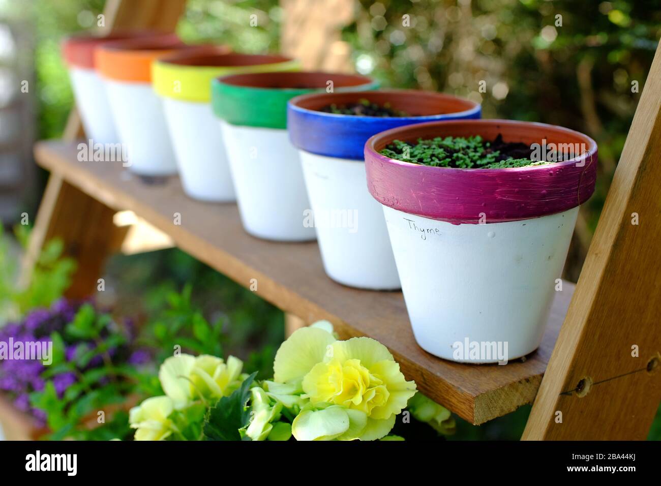 Rainbow coloured home made herb pots Stock Photo