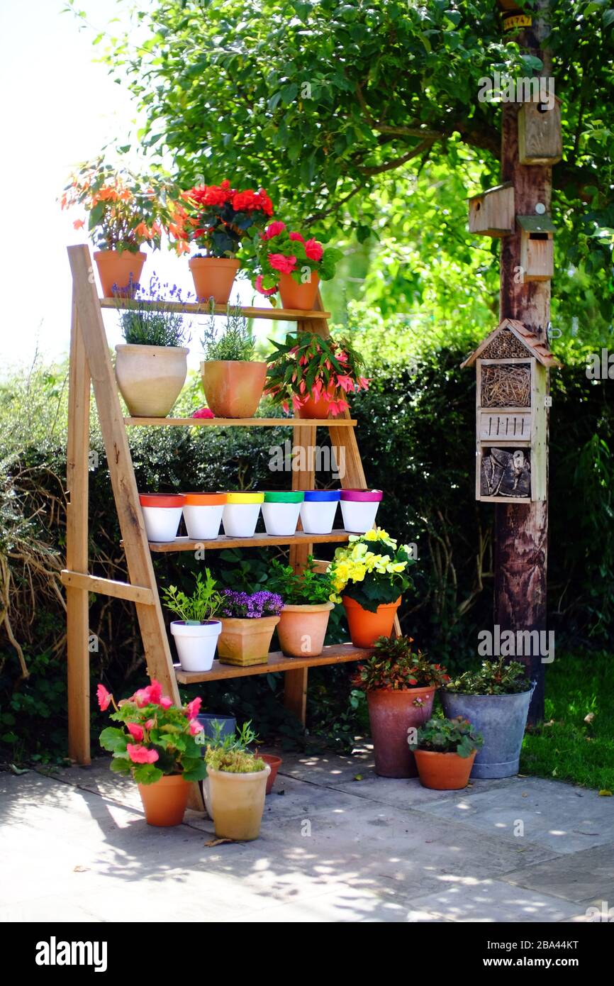 Vertical herb garden on a patio Stock Photo