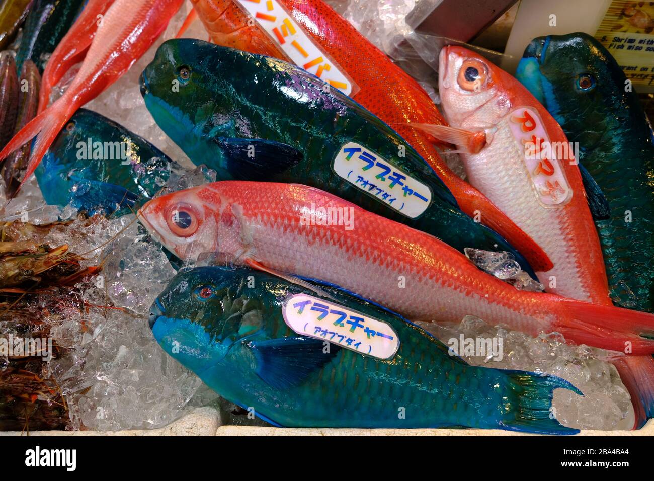 Okinawa Japan Fish Market Blue Parrotfish Stock Photo Alamy