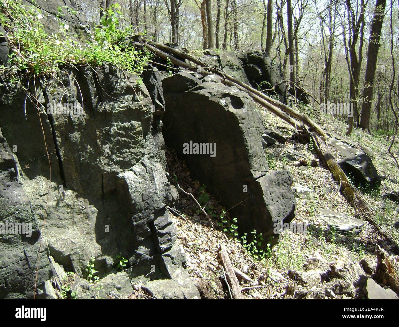 English: A ledge composed of argillite and argillite derived hornfels  emerges along the 380ft (115m) contour of— located near Hillsborough  Township, New Jersey. Typical argillite in this region is a grayish color,