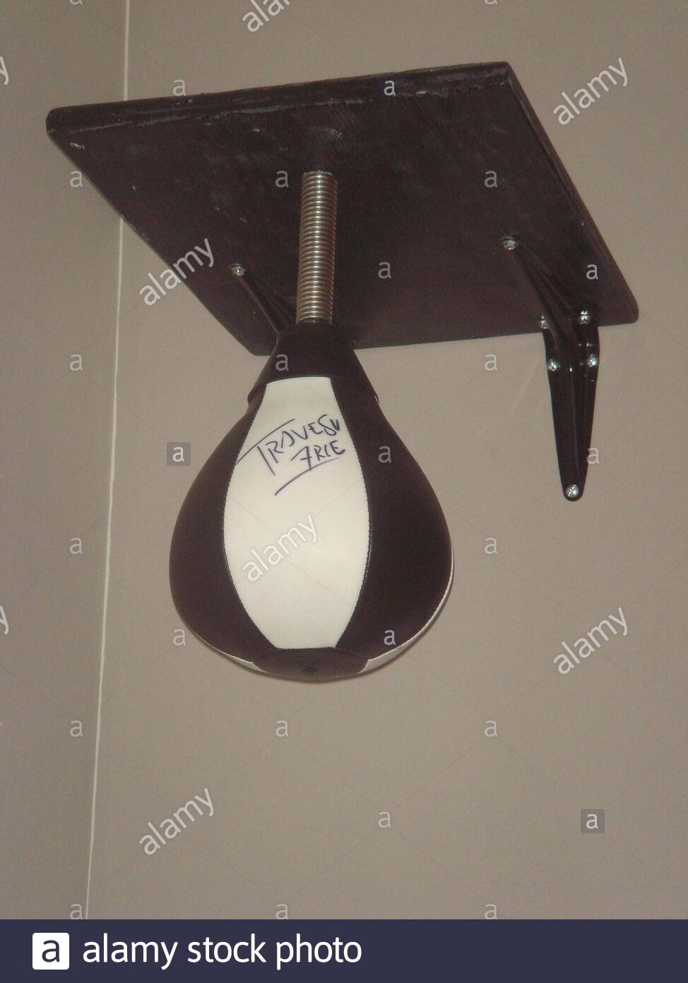 used speed bag