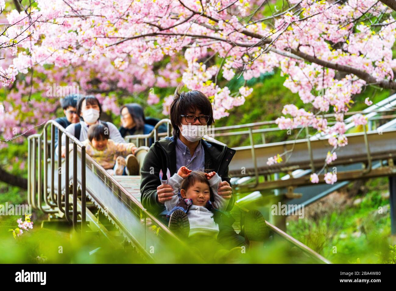Japanese tree protection hires stock photography and images Alamy