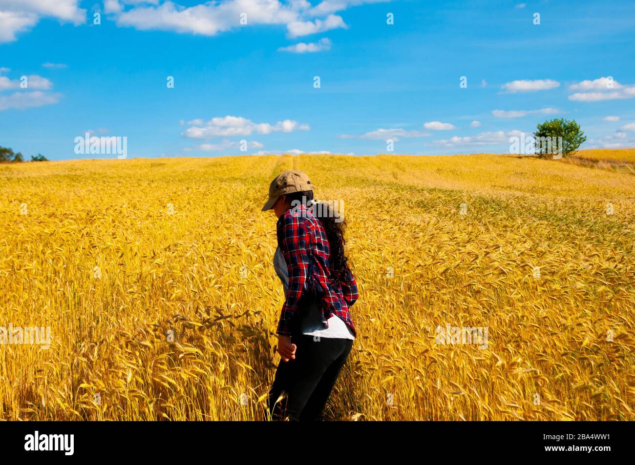 Man woman in field wheat hi-res stock photography and images - Alamy