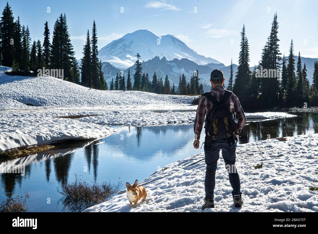 A view from little Tipsoo Lake in Rainier National Park Stock Photo