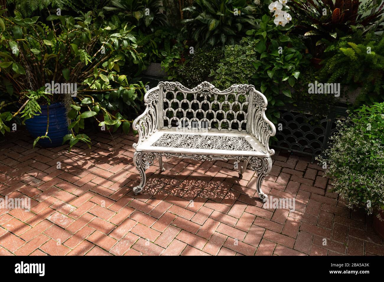Asheville, North Carolina July 24, 2019 Bench among tropical plants
