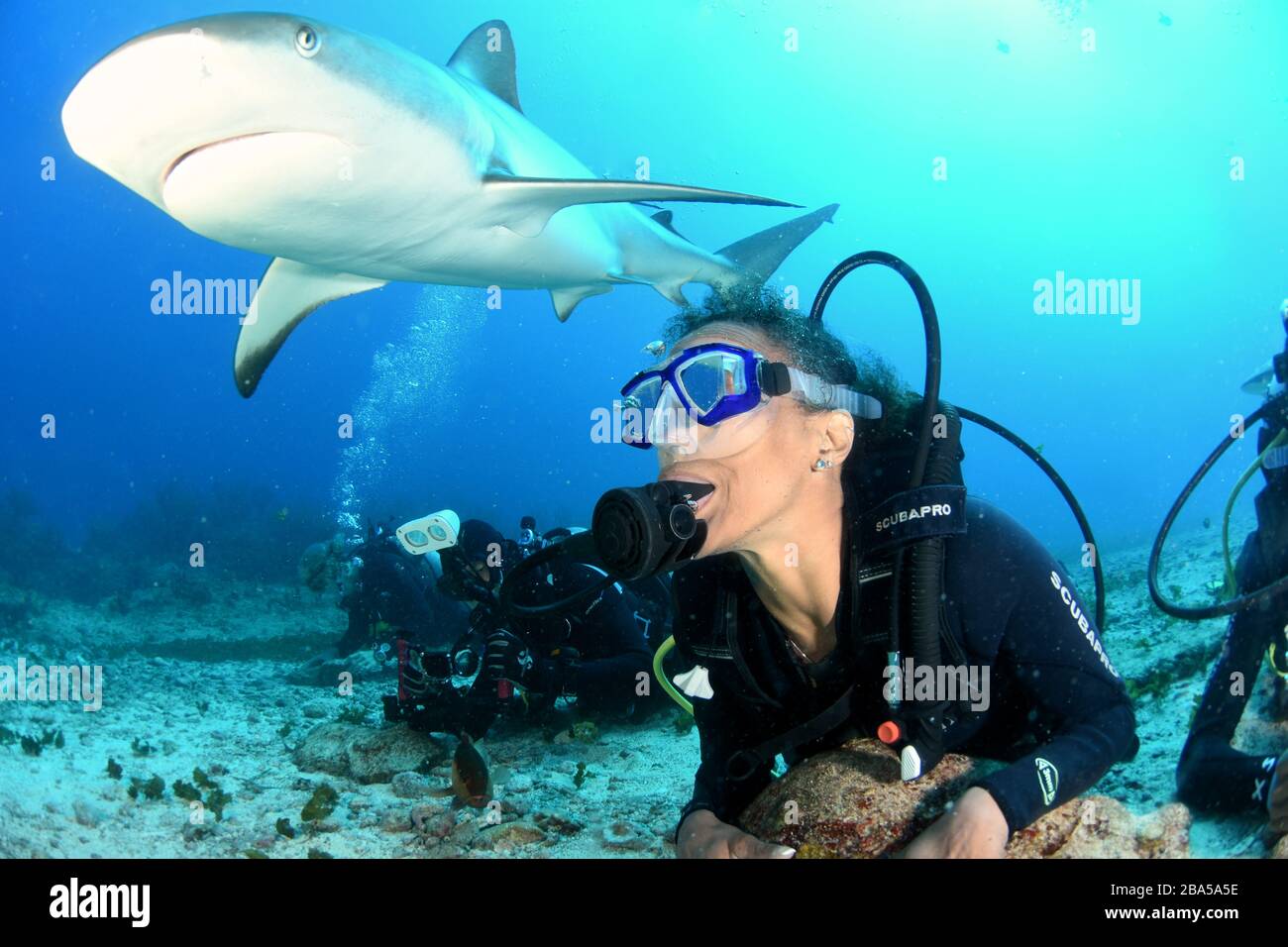 Scuba diving st martin hires stock photography and images Alamy