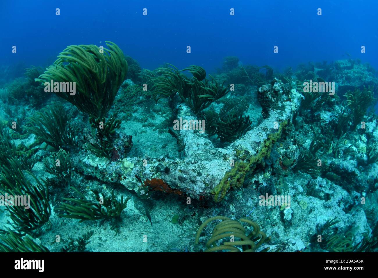 Padi dive shop in st maarten hires stock photography and images Alamy