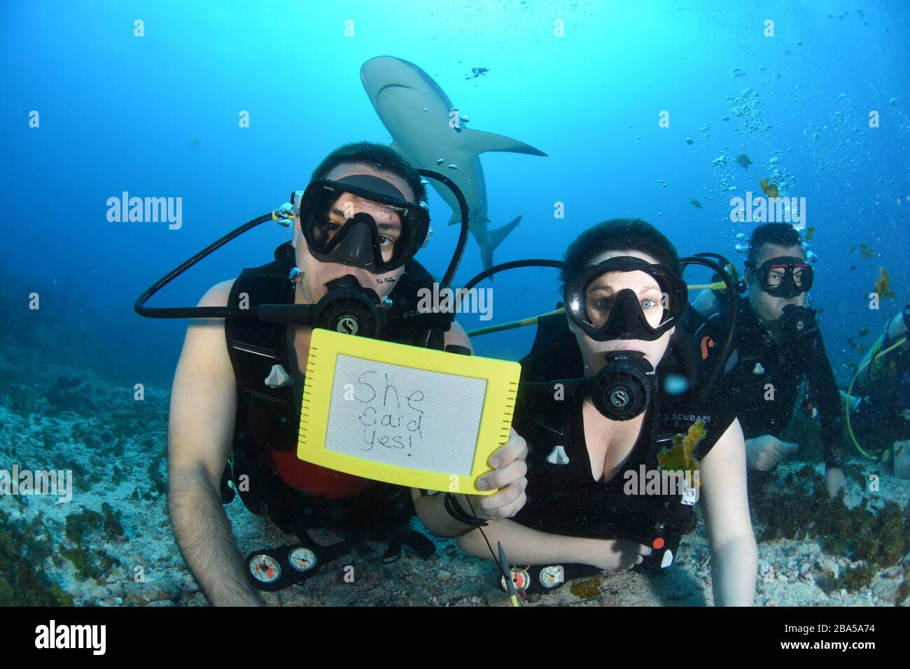 St. Maarten is a great place for scuba diving with Caribbean reef sharks and Ocean Explorers
