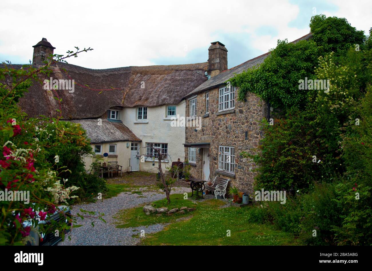 Thatched cottages, known to be found famously in south west England Stock  Photo - Alamy