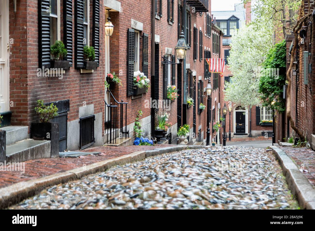 Beacon hill boston summer hi-res stock photography and images - Alamy