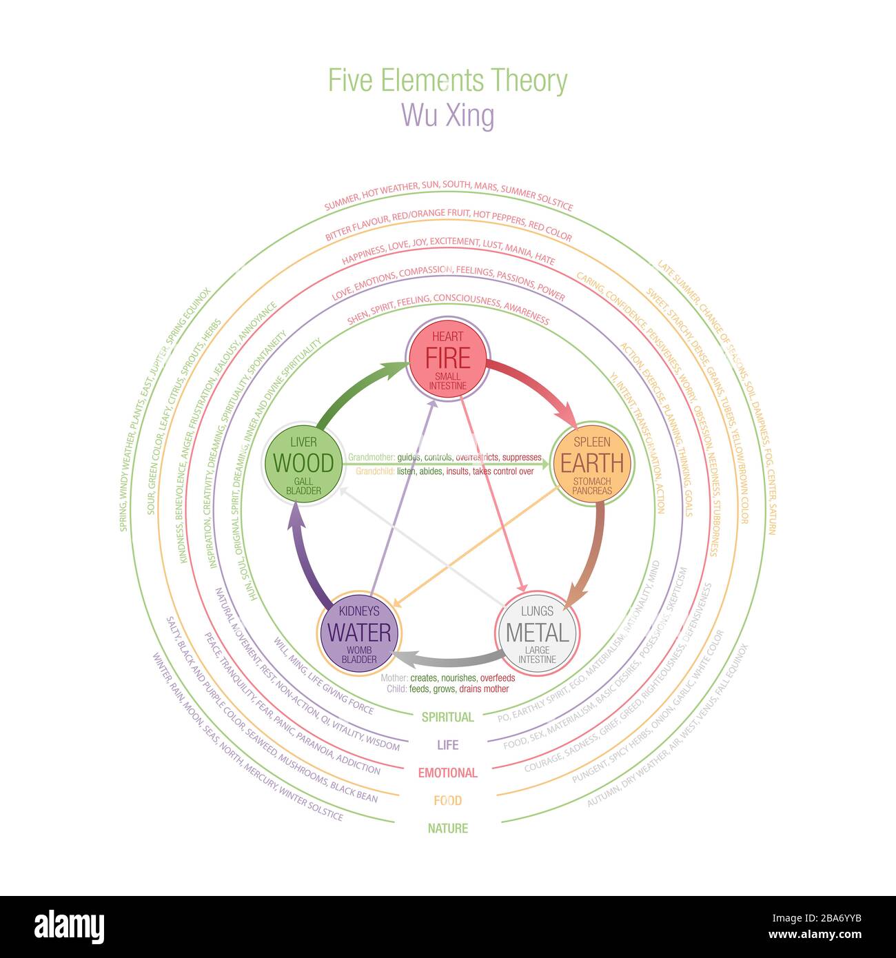 Five Elements Theory conceptual chart. Wuxing, Wu Xing in Taoism and Traditional Chinese Medicine, TCM. The illustration is featuring multiple layers Stock Photo