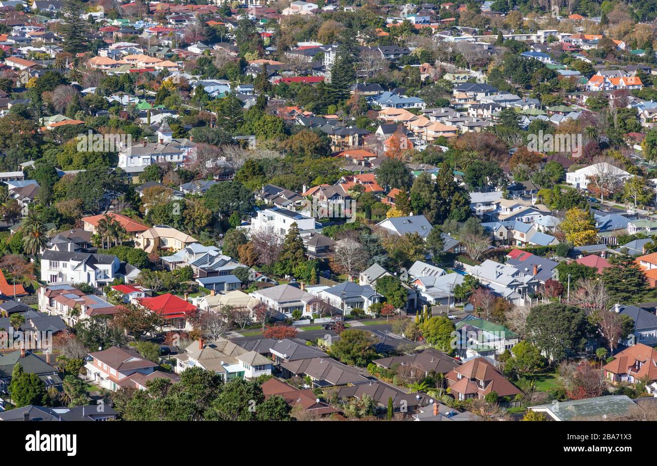 An aerial view of houses in the suburb of Mount Albert in Auckland, New