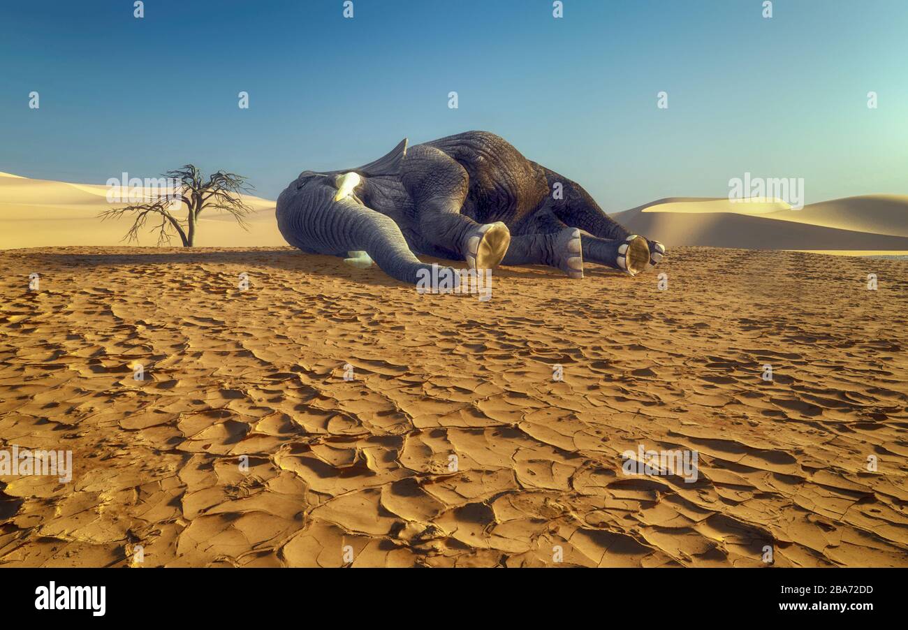 Dying elephant on drought cracked desert landscape. Global warming concept. This is a 3d render illustration. Stock Photo