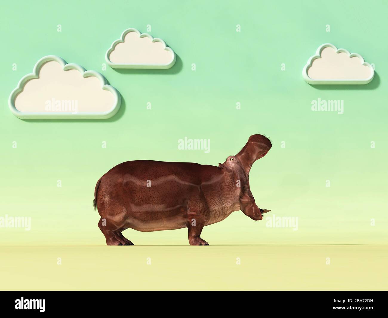 Hippopotamus on a conceptual studio background with clouds . This is a 3d render illustration . Stock Photo