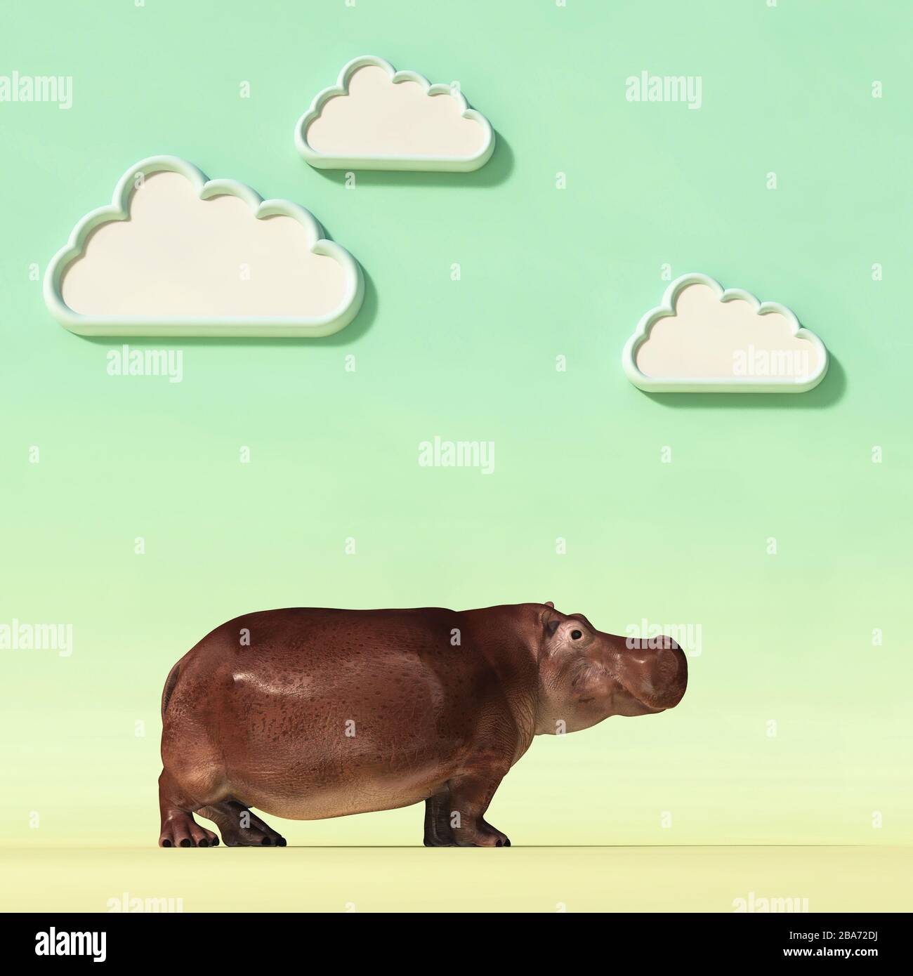 Hippopotamus on a conceptual studio background with clouds . This is a 3d render illustration . Stock Photo