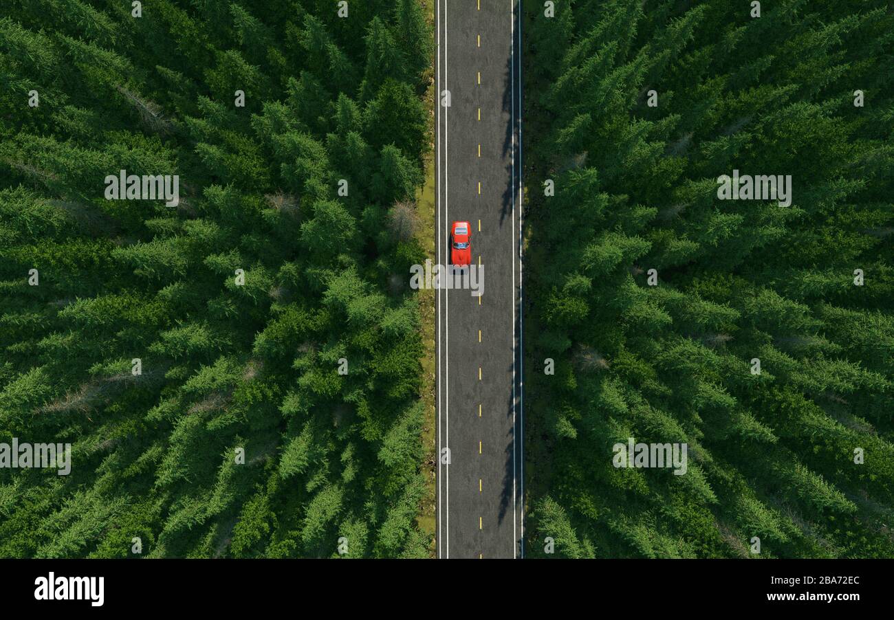 Aerial view of a car on the road in the forest . This is a 3d render illustration. Stock Photo