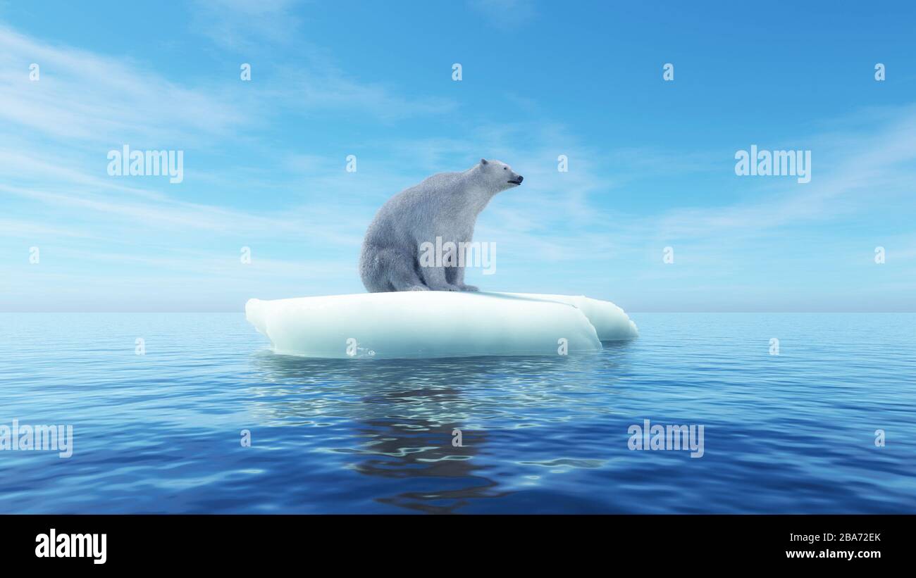 Polar bear on a piece of iceberg . Global warming concept . This is a 3d render illustration . Stock Photo
