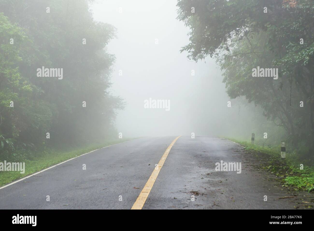 Foggy road in the morning at National Park Stock Photo - Alamy