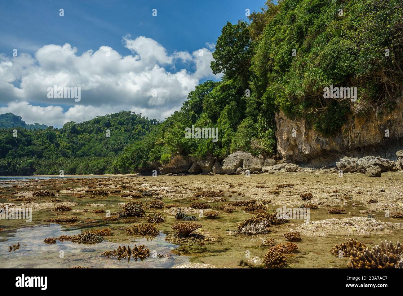 Undamaged coral coast on low tide near green and lush tropical rainforest jungle on a cloudy beautiful day in banda islands, maluku, Indonesia. Remote Stock Photo