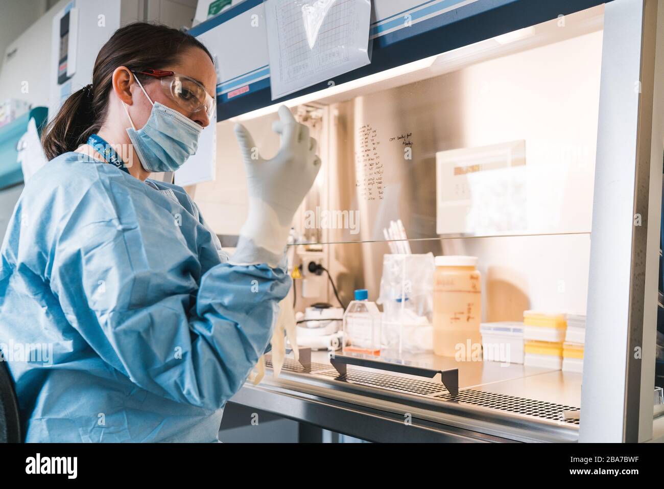 Research labor hi-res stock photography and images - Alamy