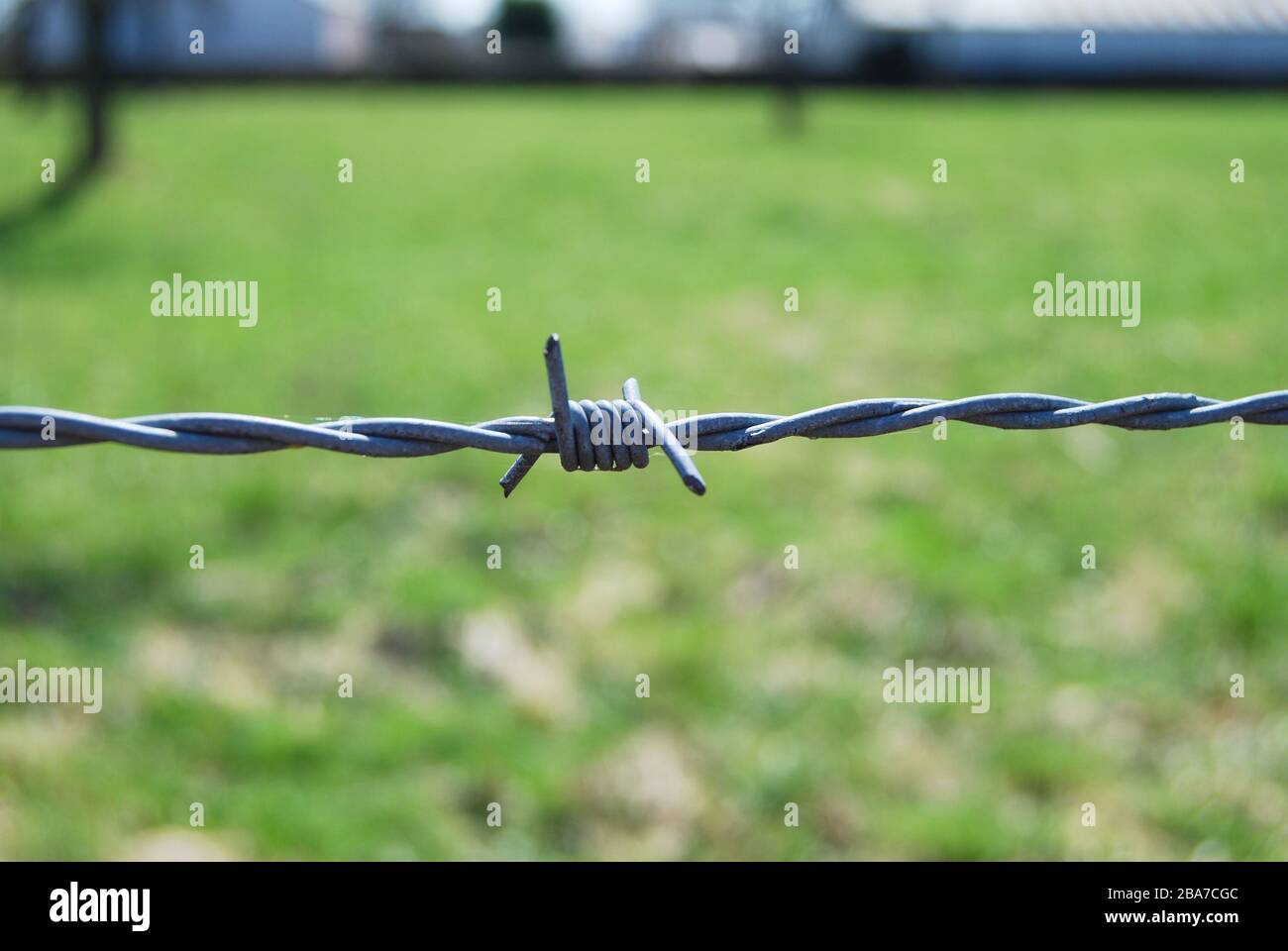 Close up barbed wire on nature green background Stock Photo - Alamy