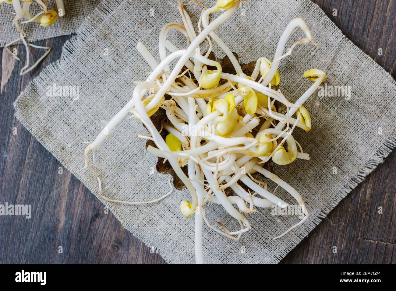 Soybean sprouts. Table with soy bean sprouts on it Stock Photo Alamy