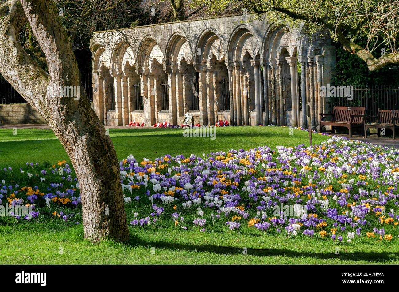 Dean's Park garden with crocuses in bloom and the Kohima War memorial, York Minster, England. Stock Photo