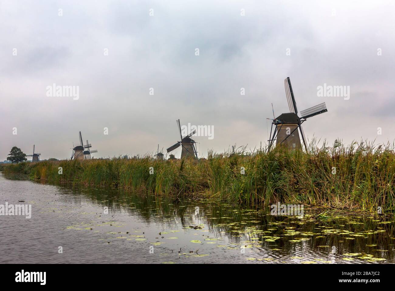 Nederwaard windmills lining the Het Nieuwe Waterschap canal, Kinderdijk, UNESCO World Heritage Site, South Holland, Netherlands Stock Photo