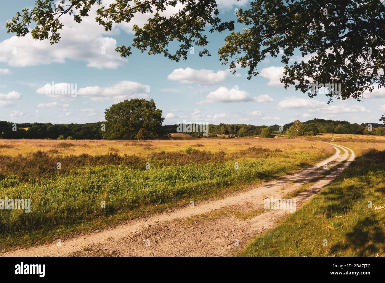 Idyllic panoramic view with hiking trail in the Lüneburg Heath Nature Park (Nature Reserve), Northern Germany. Idyllischer Panoramablick mit Wanderweg Stock Photo