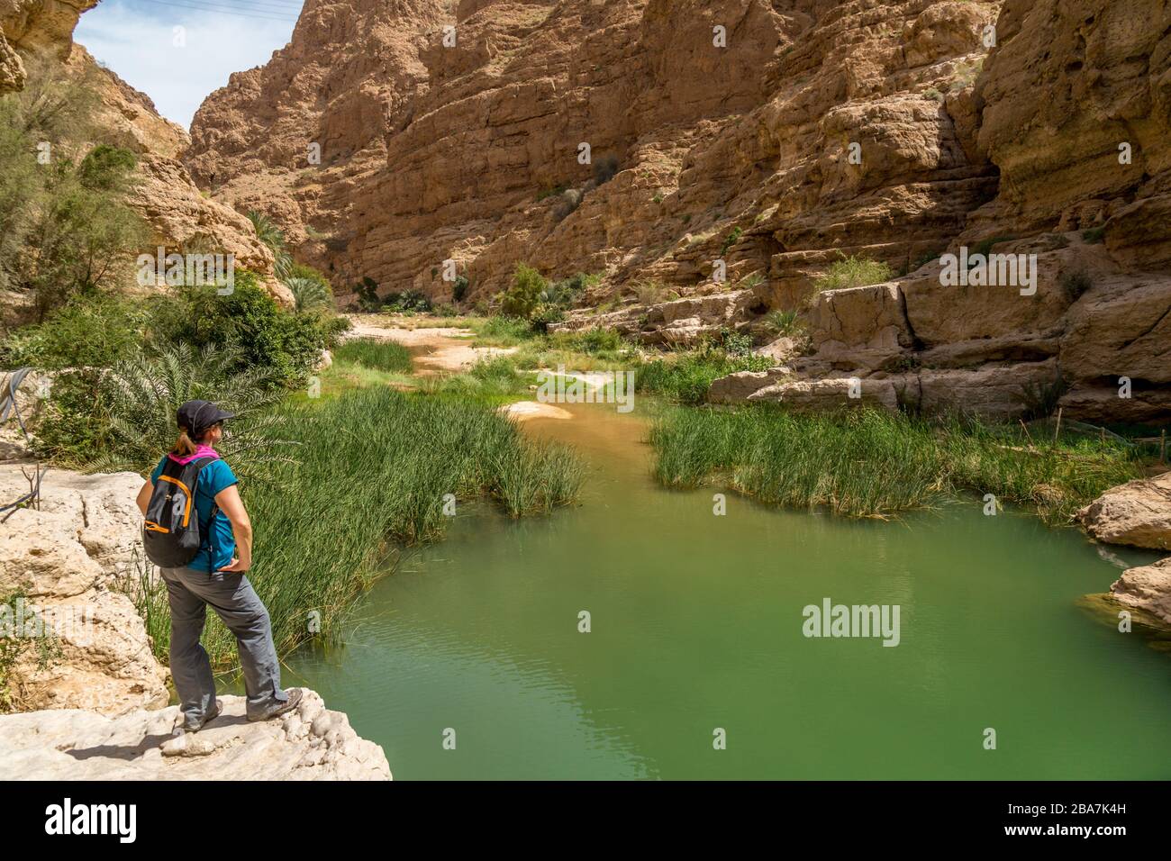 A female hiker, or walker, looking down in to the Wadi Shab in Oman. Stock Photo