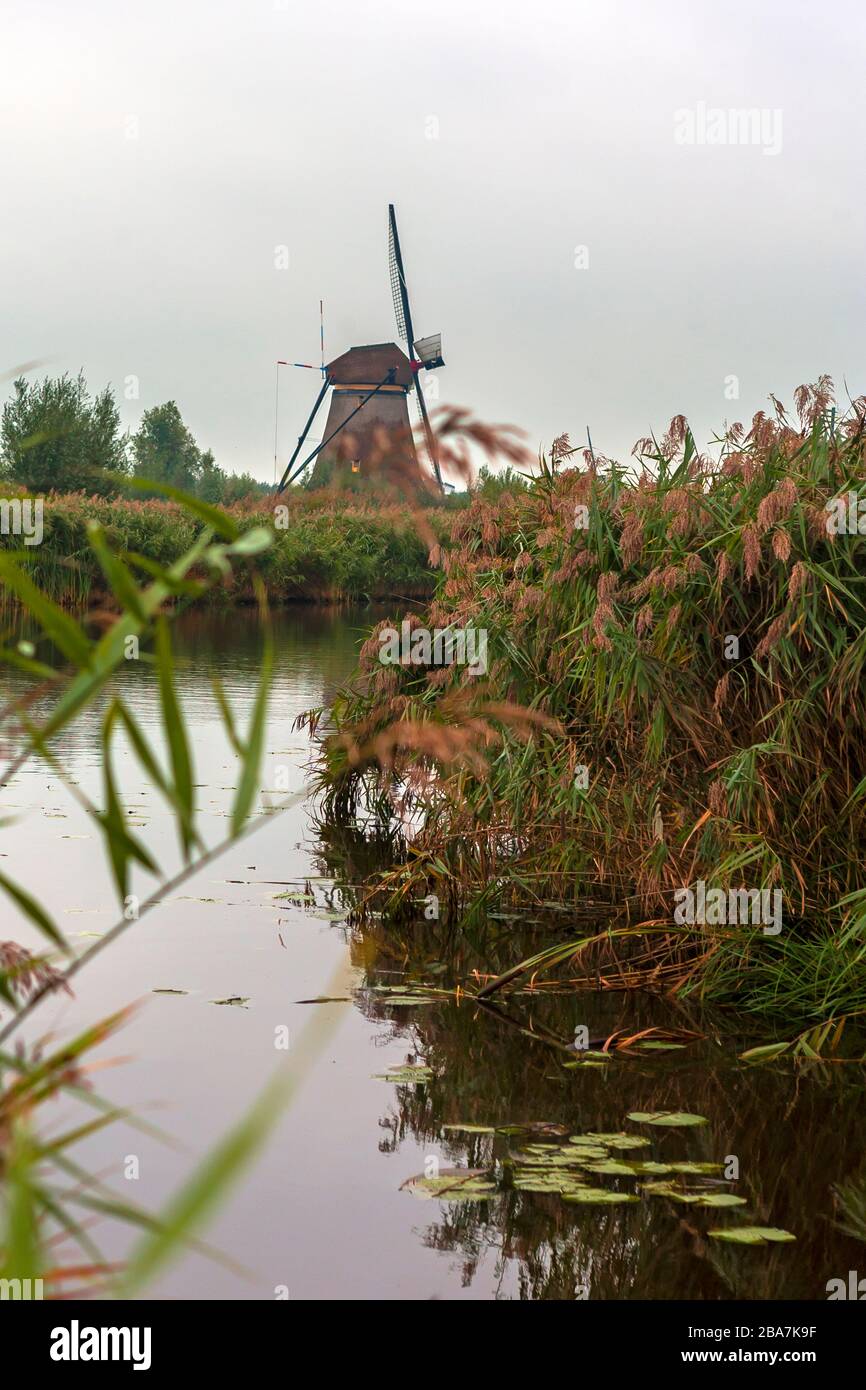Overwaard windmill No.2 on the banks of the Achterwaterschap canal, Kinderdijk, UNESCO World Heritage Site, South Holland, Netherlands Stock Photo