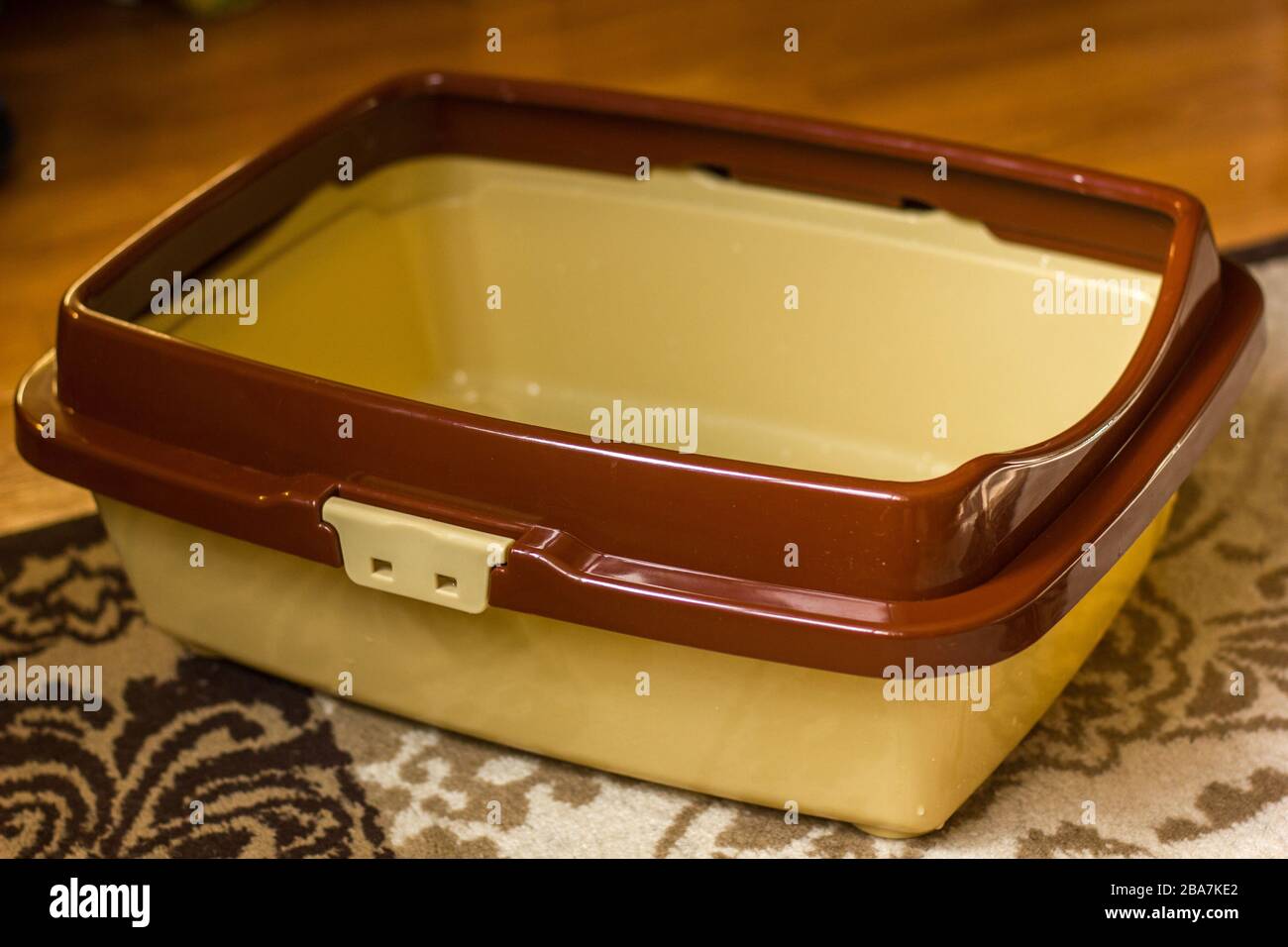Empty cat litter box standing on a floor Stock Photo Alamy
