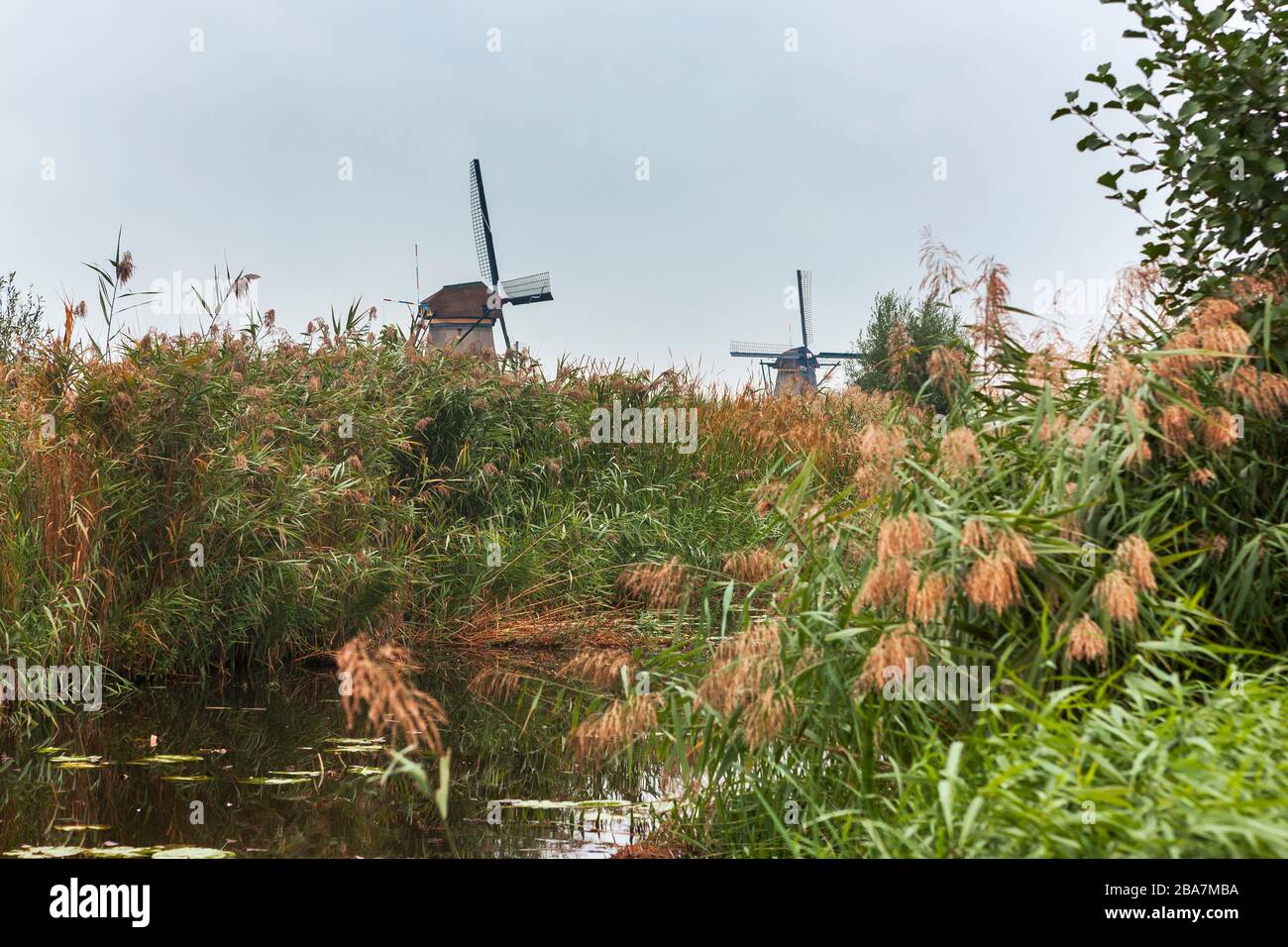 Two of the Overwaard windmills line the banks of the Groote Waterschap, Kinderdijk, UNESCO World Heritage Site, South Holland, Netherlands Stock Photo