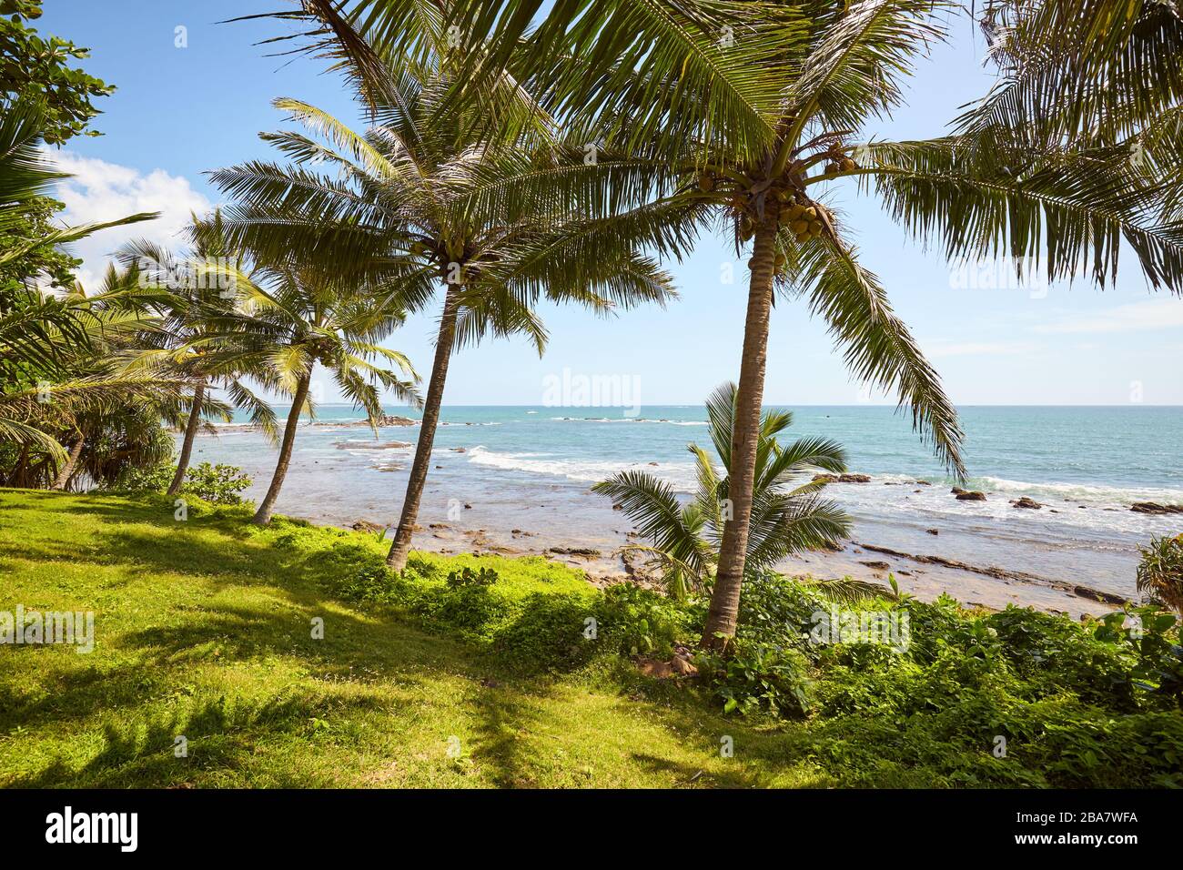 Tropical landscape with palm trees and the sea, Sri Lanka Stock Photo ...