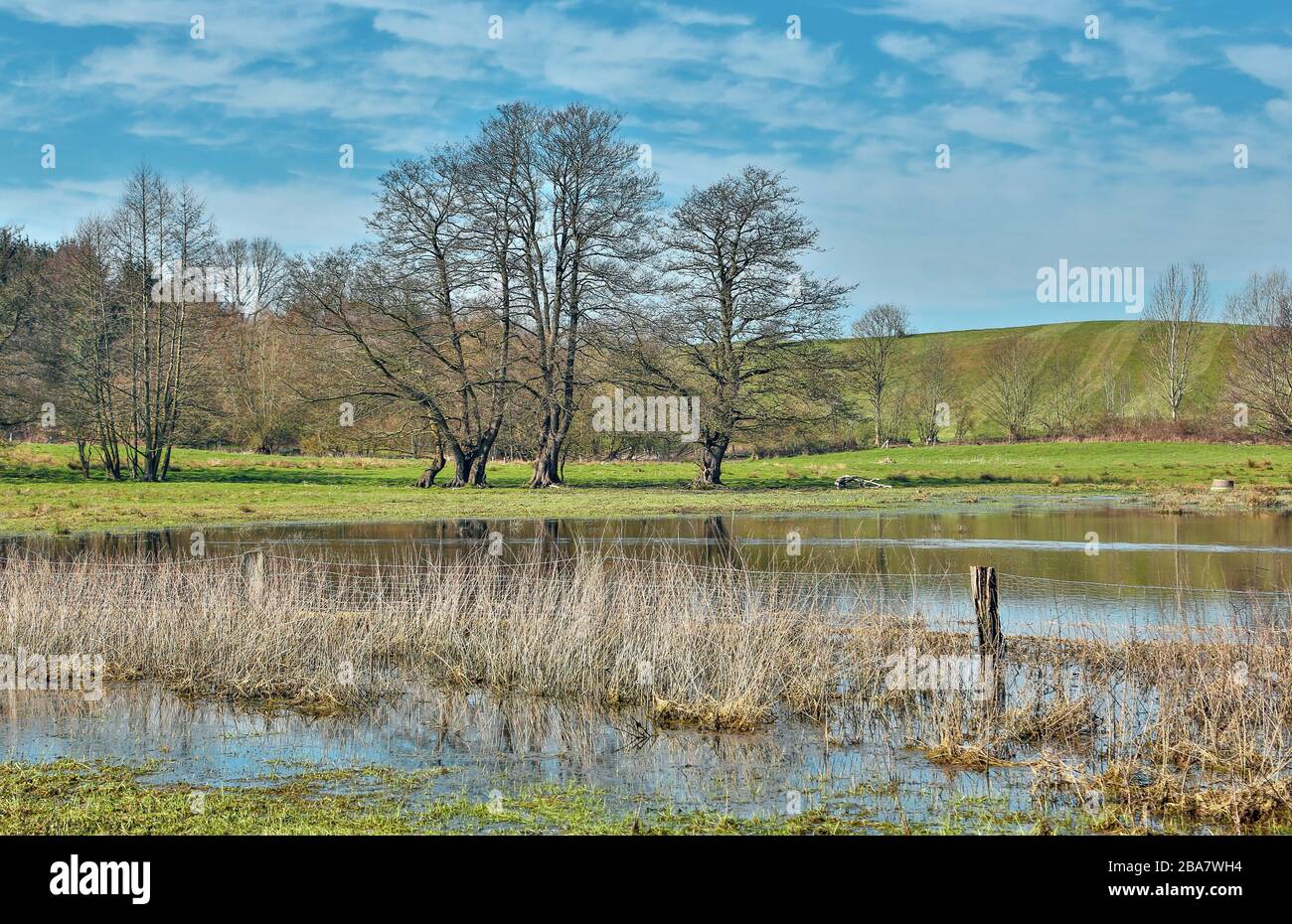 After a long period of rainy weather, large expanses of water formed that were also visited by ducks. Malente, Germany Stock Photo