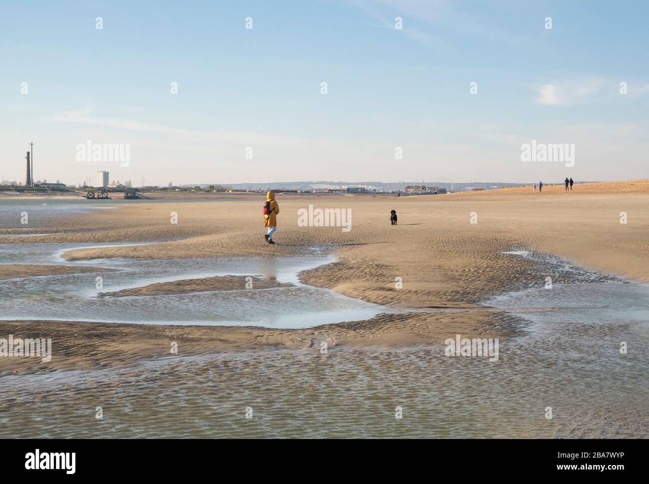 Hayling Island, near Portsmouth, Hampshire at low tide with a dog walker crossing the beach on a fine sunny day Stock Photo