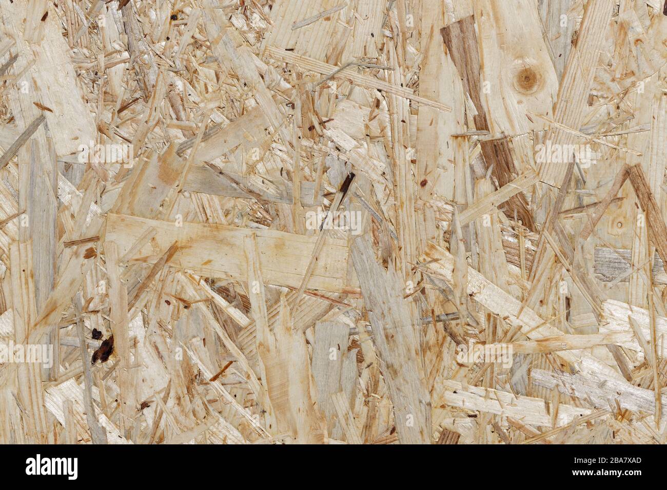 Waste Wood Recycling: Section of an Oriented Strand Board: closeup section of an oriented strand board, made of different kinds of softwood strands Stock Photo