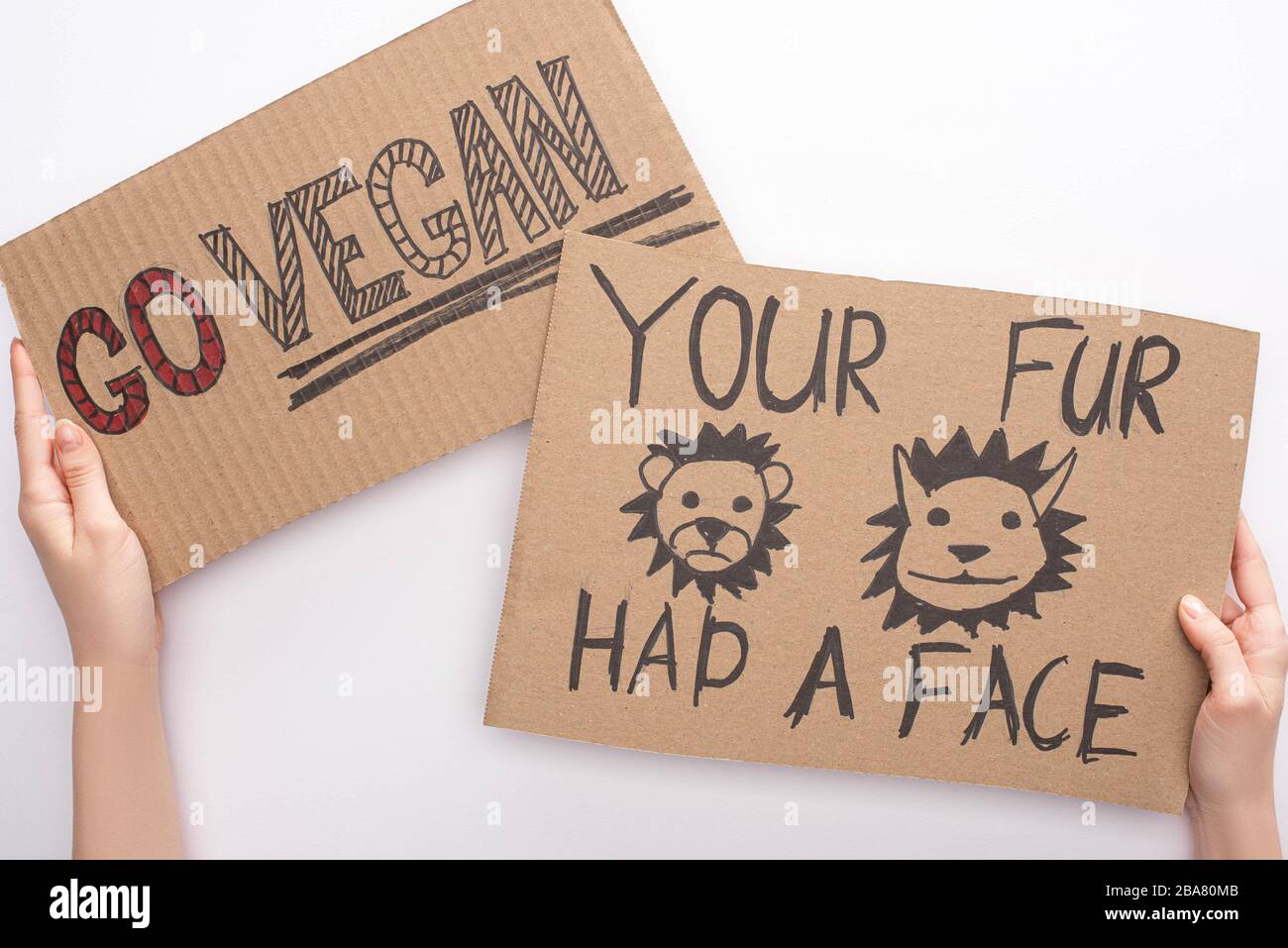 partial view of woman holding cardboard signs with go vegan and your fur had face inscriptions on white background Stock Photo
