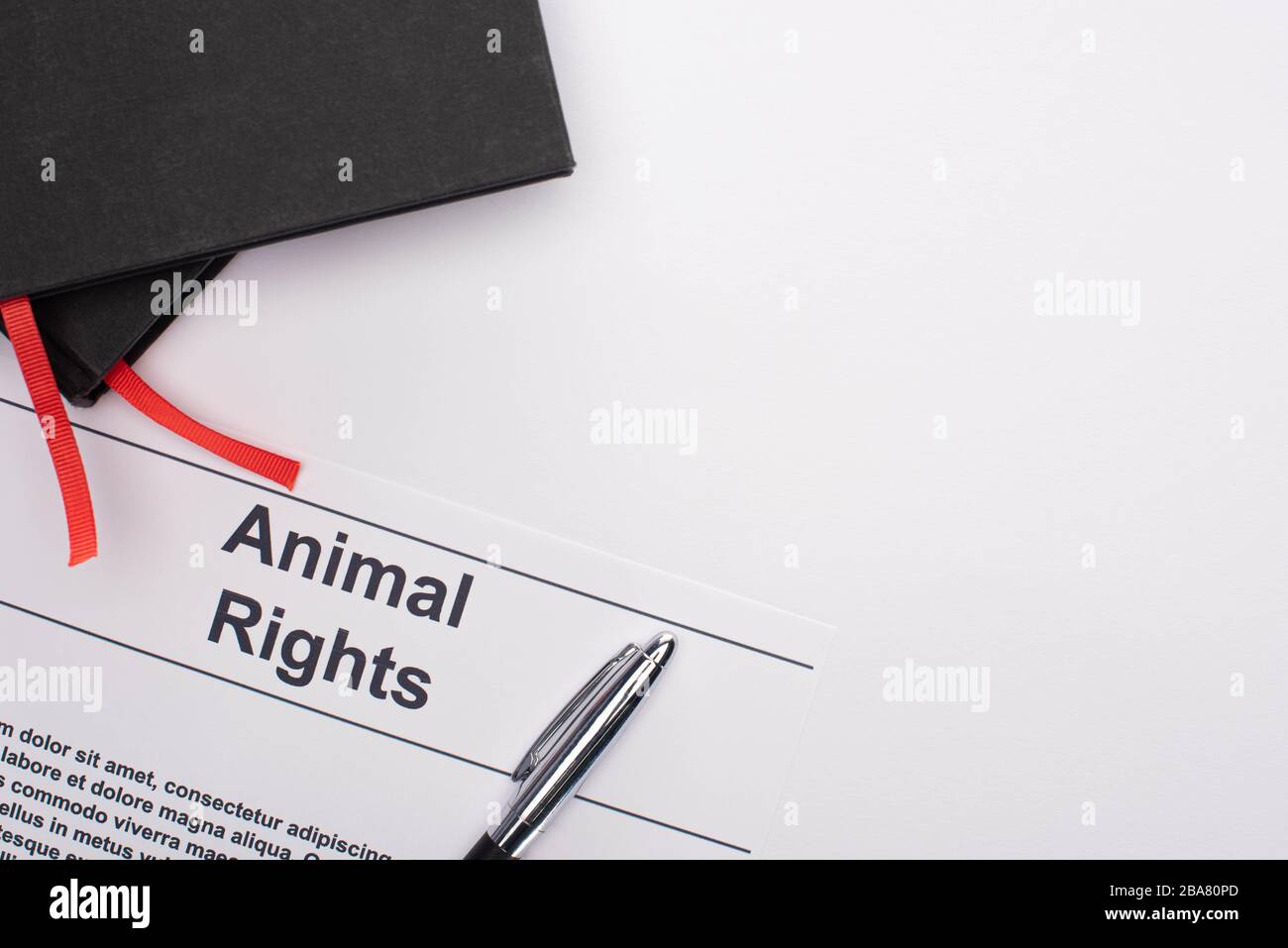 top view of animal rights inscription, black notebooks and pen on white ...